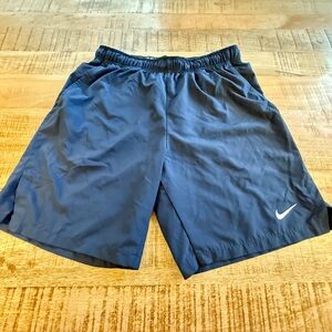 Nike Men's Blue Athletic Shorts